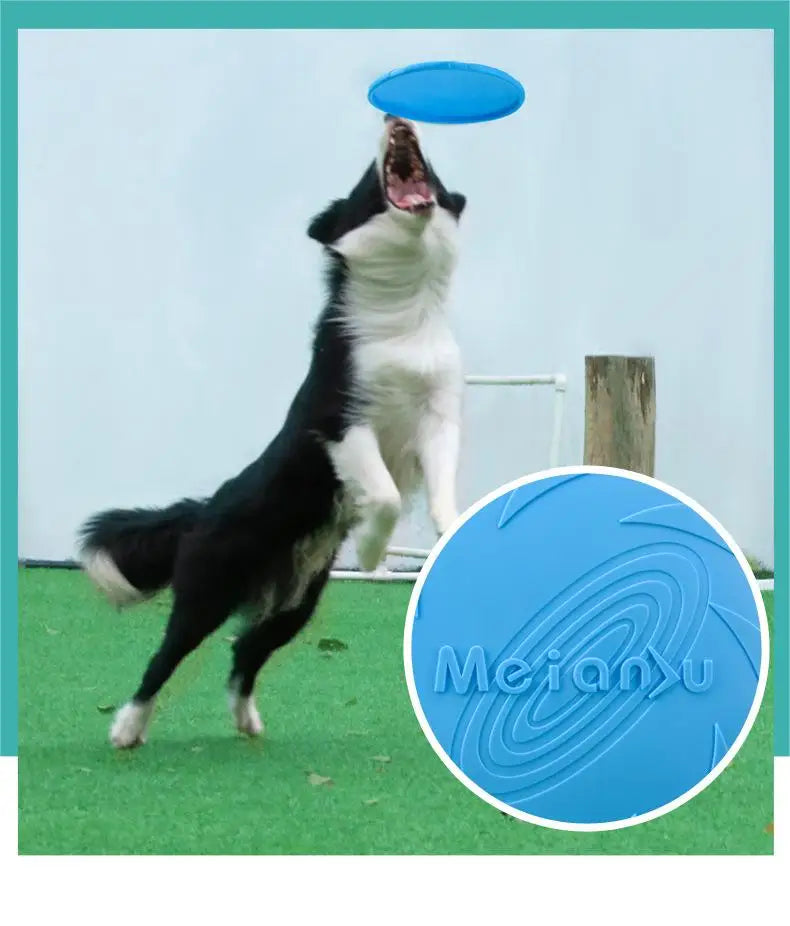 Bite-Resistant Dog Flying Disc – Durable Fetch Toy