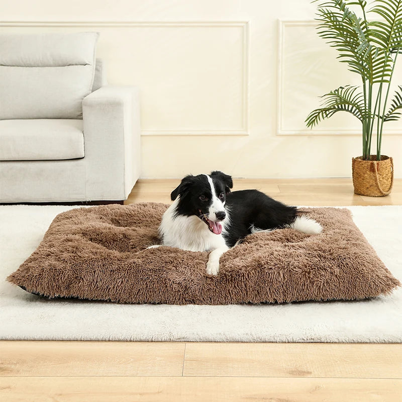 Plush Pet Bed – Soft Cushion & Basket for Dogs and Cats